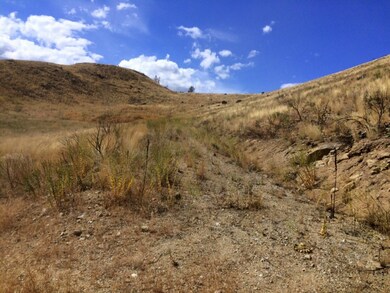 45 Lot 45 Methow River Ranch Rd, Methow, WA 98814 - photo 5