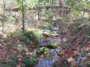 Spring Branch from Cave