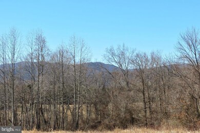 0 Clark Ln unit 1002850618, Sperryville, VA 22740 - photo 2