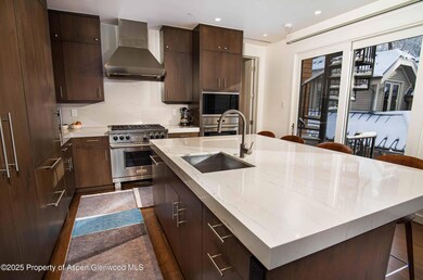 1018 E Hyman Ave unit 1, Aspen, CO 81611 - photo 4