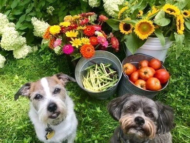 99 Nashua Rd, Pepperell, MA 01463 - photo 3