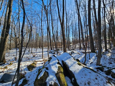 R09-L13-3 Ski Slope Rd, Farmington, ME 04938 - photo 6