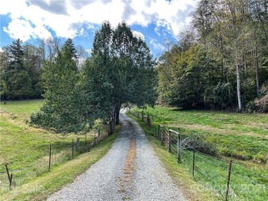 100 Meadows Town Rd, Marshall, NC 28753 - photo 3