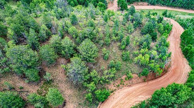 1693 Golden Cycle Cir, Cripple Creek, CO 80813 - photo 6