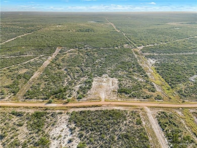 121 Paseo de La Mulada Rd, Rio Grande City, TX 78582 - photo 2