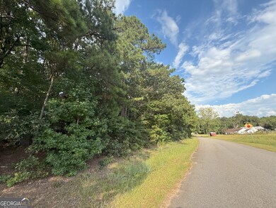 195 Bunch Rd, Tignall, GA 30668 - photo 5