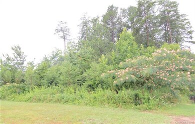 Front of lot...blooming mimosa tree.