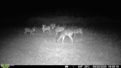 016579000831631-100-3-09202025195919-SYF