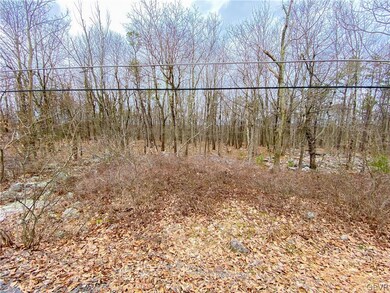 0 Hickory Run Ln unit A130 689941, Jim Thorpe, PA 18229 - photo 2