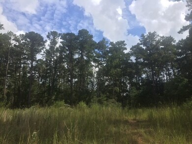 ... Wardlaw Rd, McComb, MS 39648 - photo 7