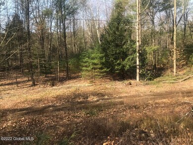 0 Antone Mountain Rd unit 202215598, Hadley, NY 12835 - photo 5