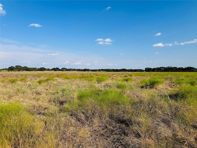 View of local wilderness with a rural view