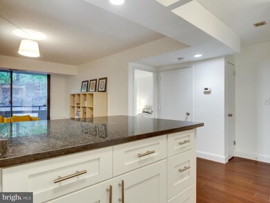 Encore of McLean unit 316, McLean, VA 22102 - photo 7
