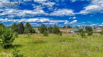 1129 Will Scarlet Dr, Divide, CO 80814 - photo 4