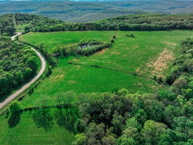 TBD Parcel#001-00664 Devils Den Rd, Winslow, AR 72959 - photo 2