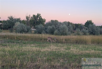 TBD Gayle Block 17 Lot 7 Dr, Billings, MT 59105 - photo 2