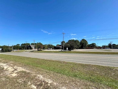 103 W Paulk Ave, Opp, AL 36467 - photo 2