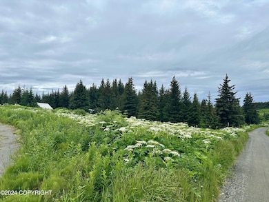 Driveway and Road Access