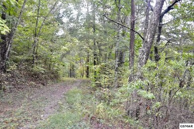 Additional View 7