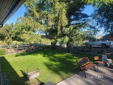 back yard