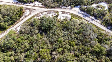 239 Crystal Lake Dr, Lake Placid, FL 33852 - photo 7