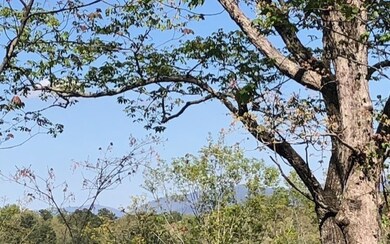 Additional View
