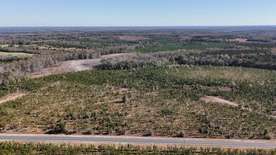 Mt Pisgah Road C SC Land for Sale-08
