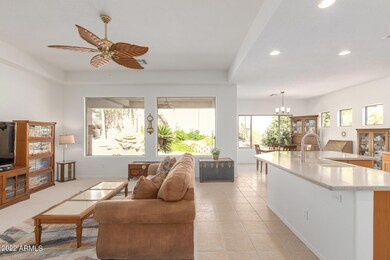 Indoor/Outdoor Living