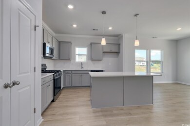 331 Garden Grove St, Conway, SC 29526 - photo 5