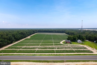 4225 Mays Landing Rd, Vineland, NJ 08361 - photo 3