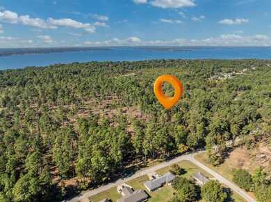 Lot 3 Pintail Dr, Flint, TX 75762 - photo 3