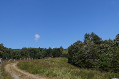 0 Hall Hollow Rd unit LotWP001 24773382, Austinville, VA 24312 - photo 3