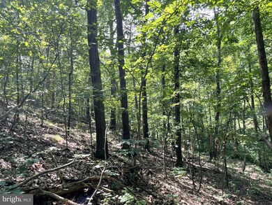 0 Mill Hill Rd, Warfordsburg, PA 17267 - photo 3