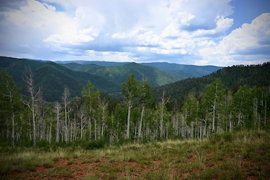 0 Highway 145 unit 42780, Dolores, CO 81323 - photo 3