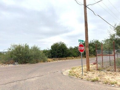 1409 Weslaco Ln, Zapata, TX 78076 - photo 7