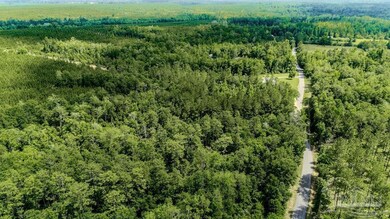 48 Watson Rd, Jay, FL 32565 - photo 2