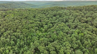 21480 N Highway 71, Winslow, AR 72959 - photo 4