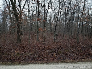 29991 & 29992 Guccione Place, Union Township, MO 65326 - photo 3