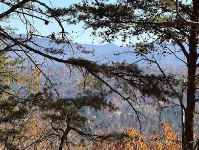 0 John Call Rd unit 7683545, Talking Rock, GA 30175 - photo 3