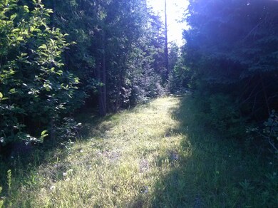 one of several trails