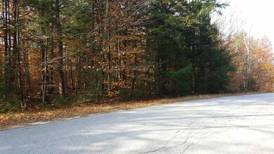 Lot 4 Alpine Rd, Bridgewater, NH 03222 - photo 3