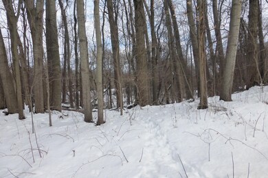 0 Oak Forrest & Chicago Rd unit 22003737, Niles, MI 49120 - photo 3