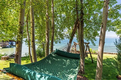 Aspen grove with Hammock