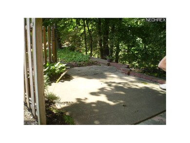 Beautiful back patio - Shaded by many trees and st