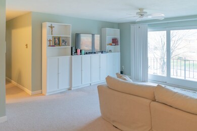 53 Fountain Ln unit 10, South Weymouth, MA 02190 - photo 5
