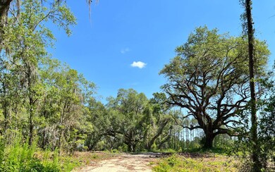 38 NW Treeline Glen, Lake City, FL 32055 - photo 3