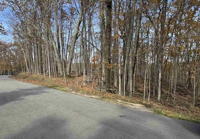 1625 Arrowhead, Harbor Springs, MI 49740 - photo 2