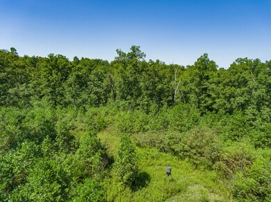18.8ac Howard Springs Rd, Crossville, TN 38571 - photo 4