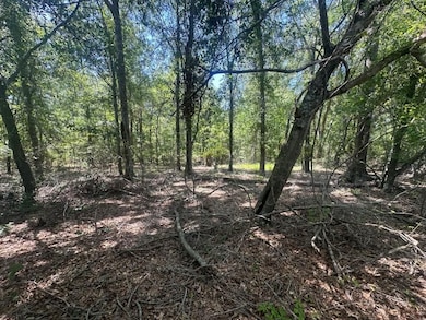 0 Rocky Knob Rd unit 22483768, Sylvania, GA 30467 - photo 5