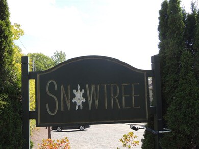 5 Snow Tree Ln unit Elms E, West Dover, VT 05356 - photo 4